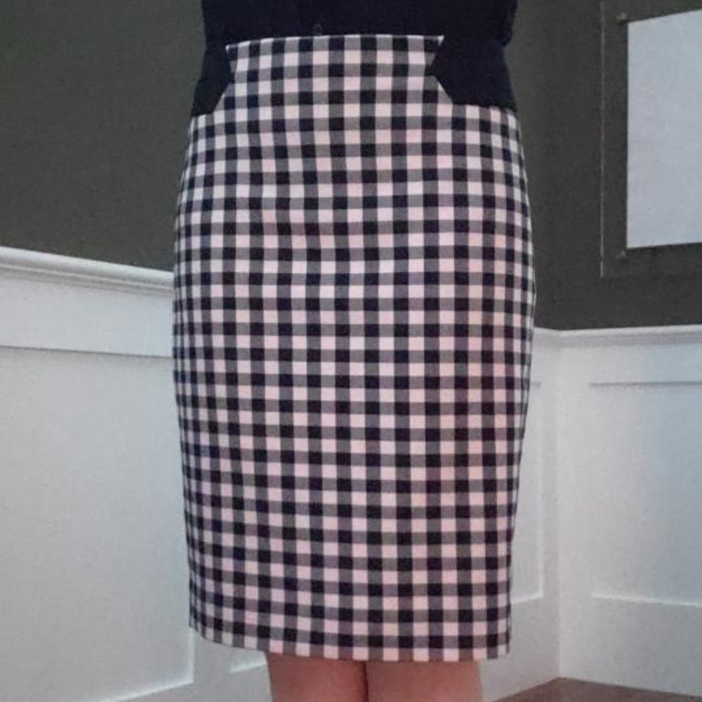 The Limited Pink and Navy Pencil Skirt Size 0
